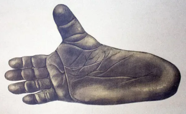 Illustration numéro 3 du produit Affiche murale de l’école de Jung-Koch-Quentell ''gorille'' 1968