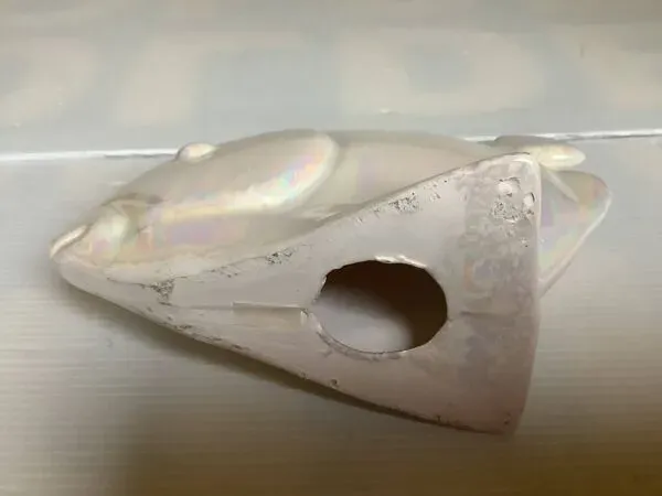 Illustration numéro 3 du produit Poisson blanc irisé