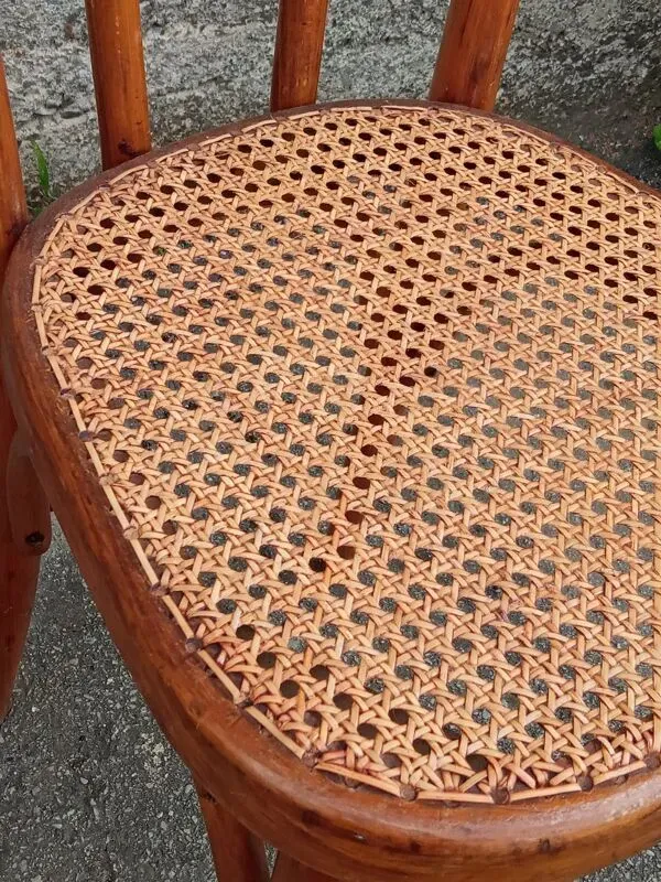 Illustration numéro 3 du produit Paire de chaises Fischel cannées, circa 1900