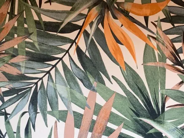 Illustration numéro 3 du produit Armoire vitrée d’école primaire 1950