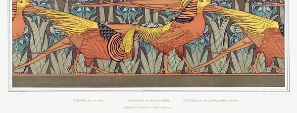 Illustration numéro 3 du produit Affiche “escargots et oiseaux”, d’après une lithographie art nouveau