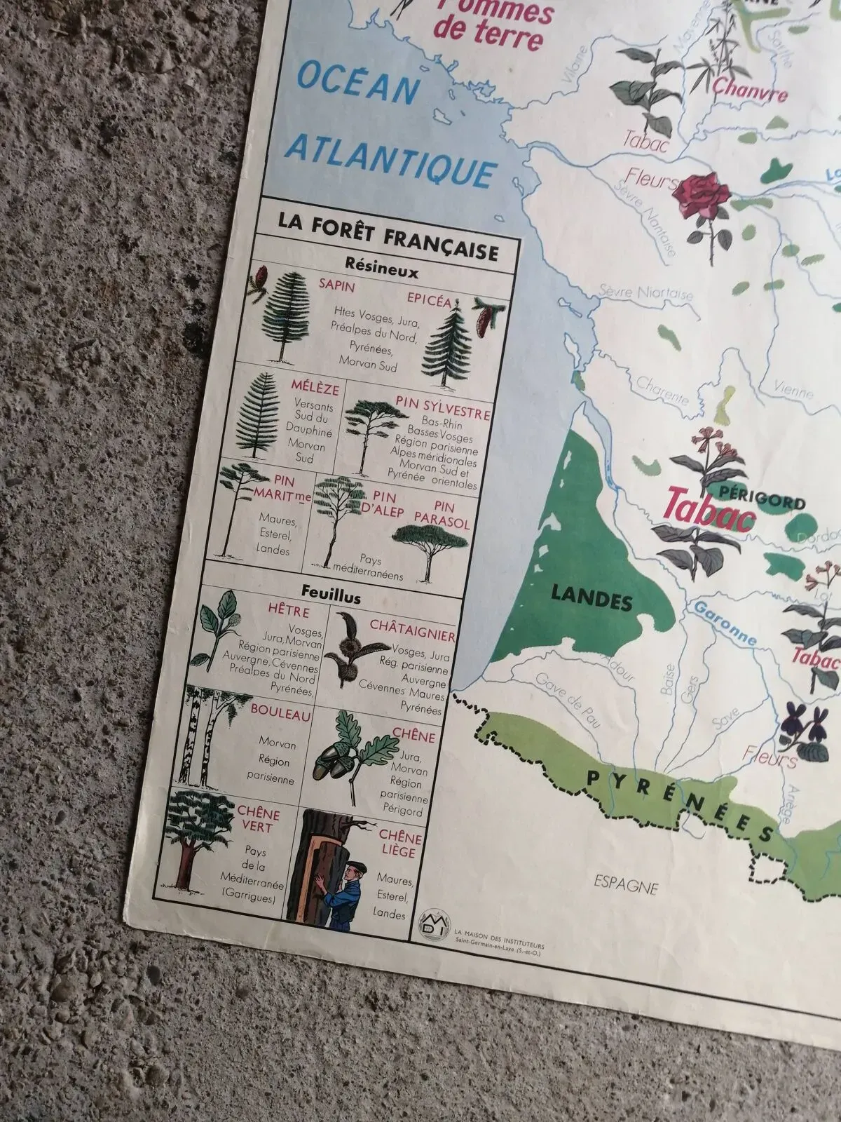 Illustration numéro 3 du produit Ancienne carte scolaire MDI : France « Cultures industrielles et forêts »