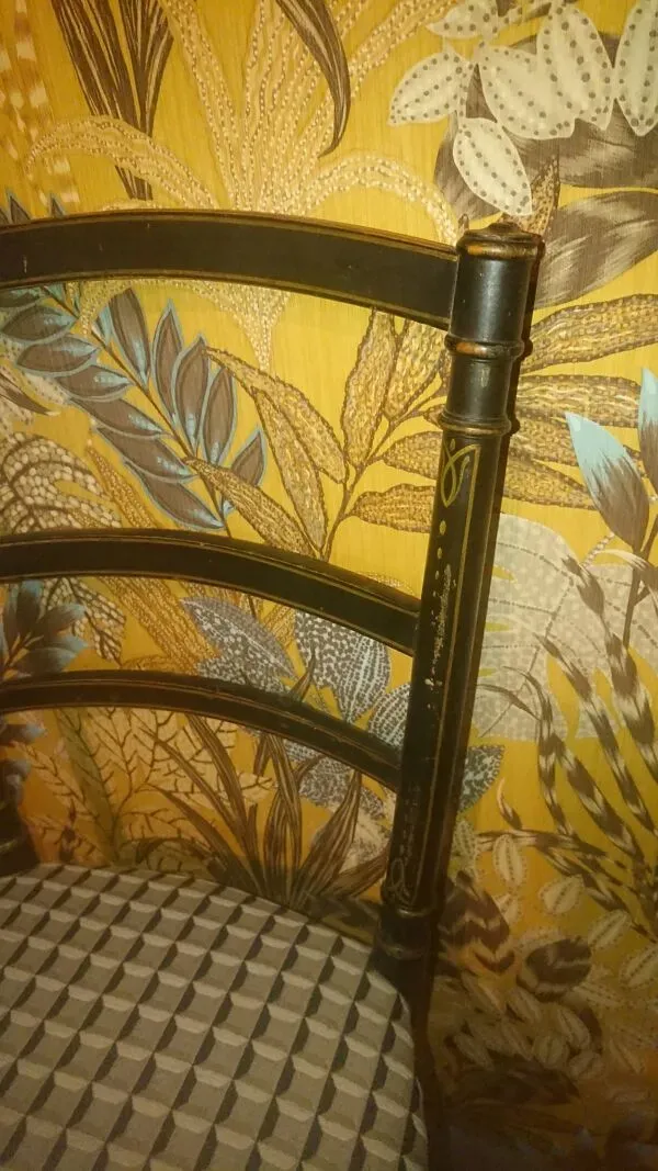 Illustration numéro 3 du produit Chaise Déco Napoléon III  rénovation tapissière