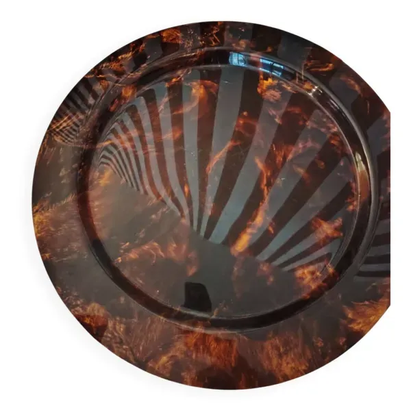 Illustration numéro 3 du produit Plateau écaille tortue