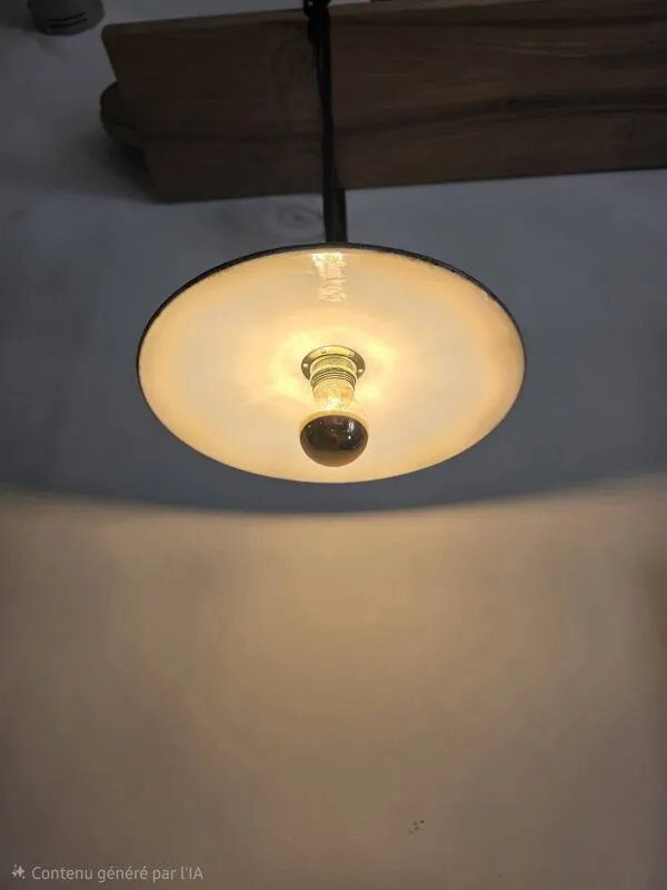 Illustration numéro 3 du produit Baladeuse tôle émaillée vintage