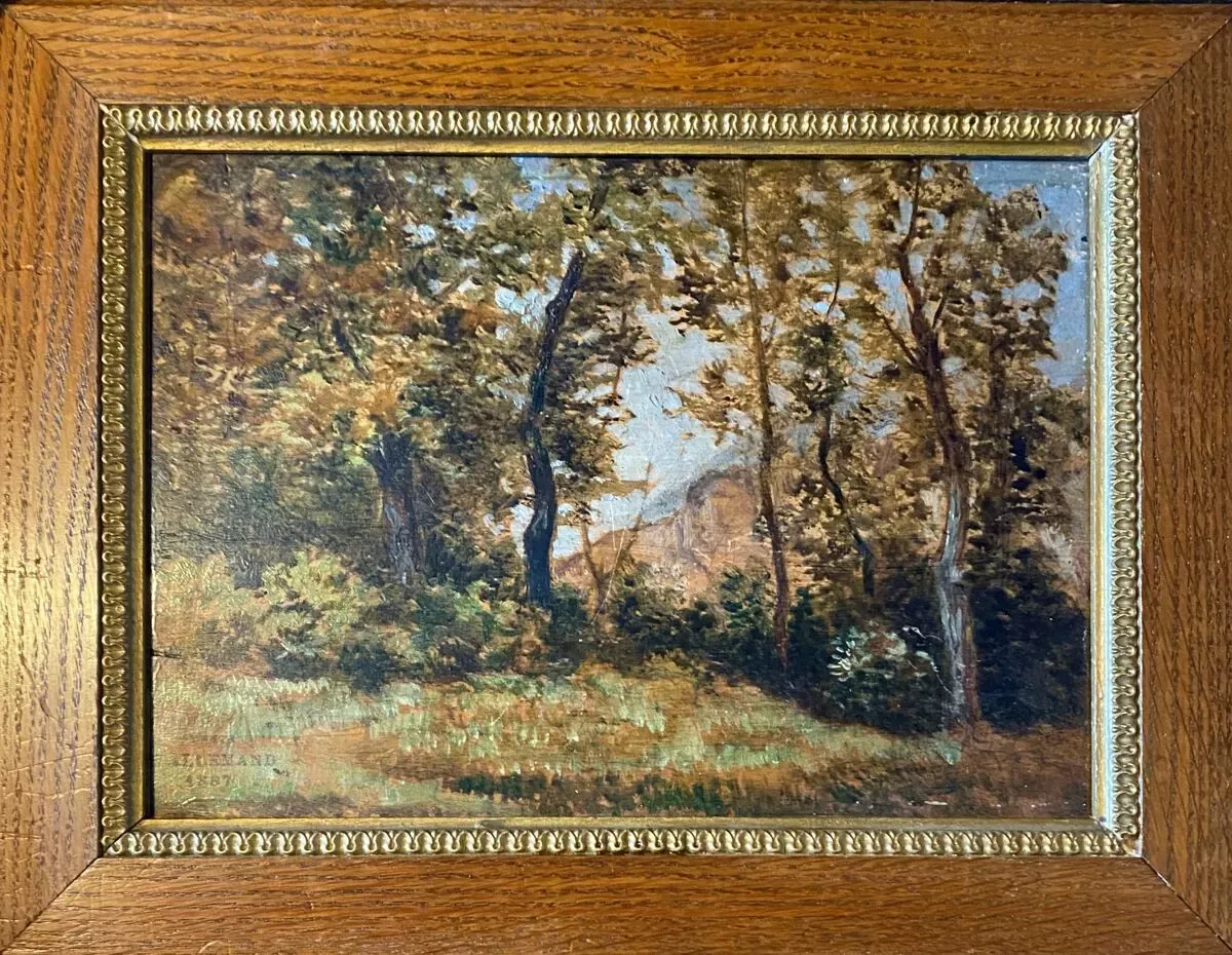 Illustration numéro 3 du produit Tableau hsp d'hector allemand (1809-1886) ''paysage'' éc. de lyon