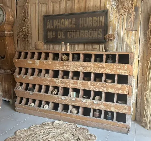 Illustration numéro 3 du produit Ancien meuble grainetier à casiers