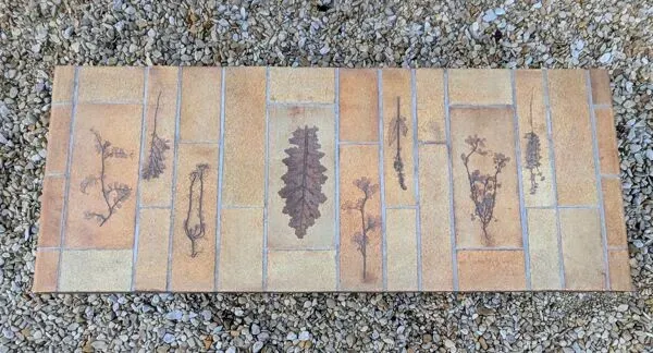 Illustration numéro 3 du produit Table Basse Herbier Design Vintage Capron Barrois Vallauris