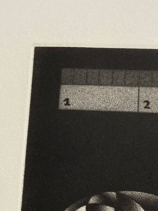 Illustration numéro 3 du produit Mario avati (1921-2009), merinos, manière noire, 1970