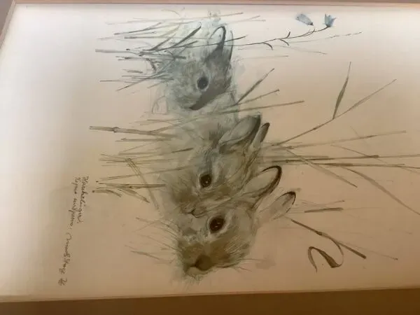 Illustration numéro 3 du produit Grand cadre avec des lapins dans la nature