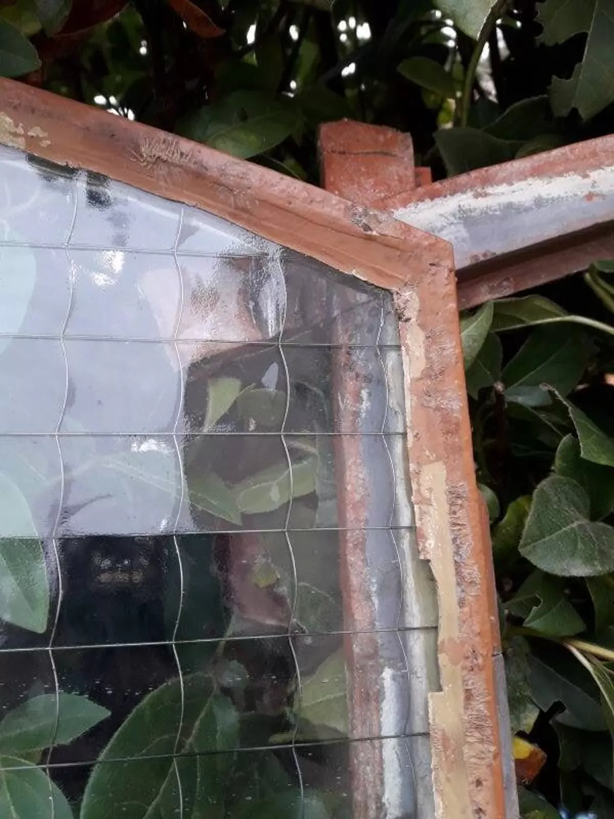 Illustration numéro 3 du produit Fenêtre L107xH174 industrielle cintrée métal verrière cadre verres armés