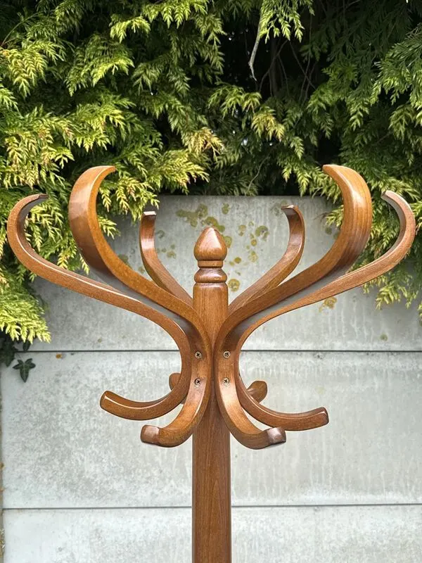 Illustration numéro 3 du produit Porte-manteau – Baumann – Rangement – Vintage bois courbé Perroquet