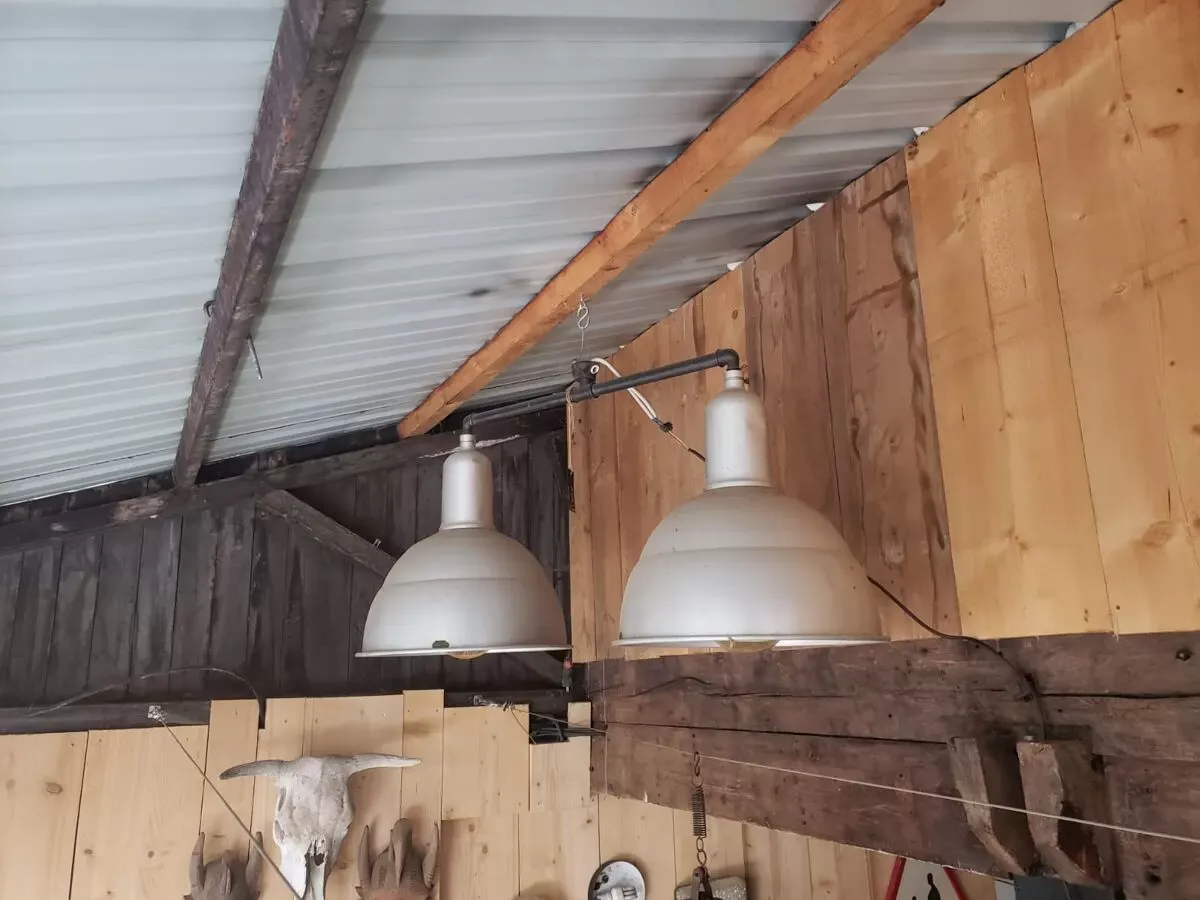 Illustration numéro 3 du produit Double Mazda Infranor