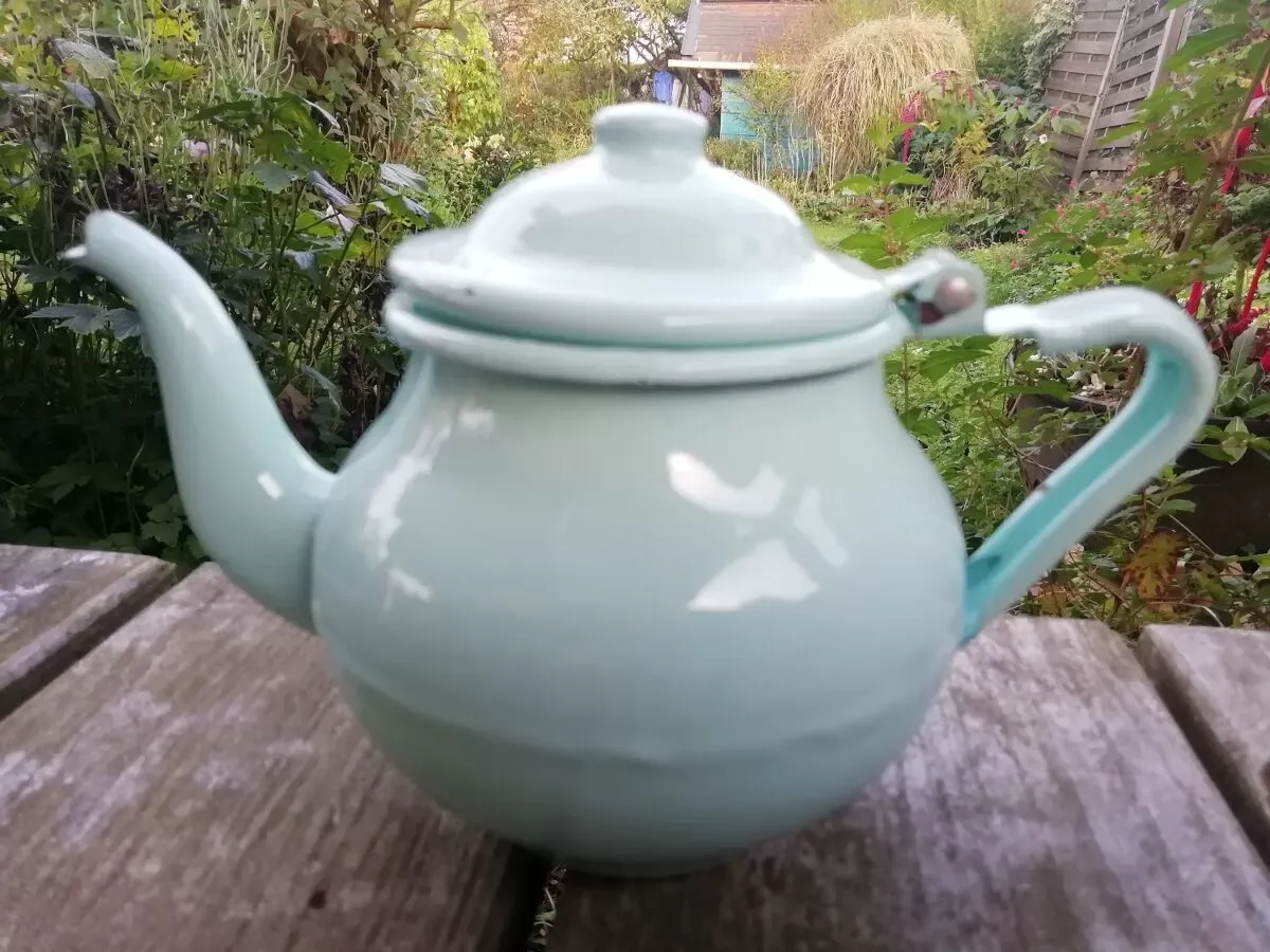 Illustration numéro 3 du produit Théière en tôle émaillée