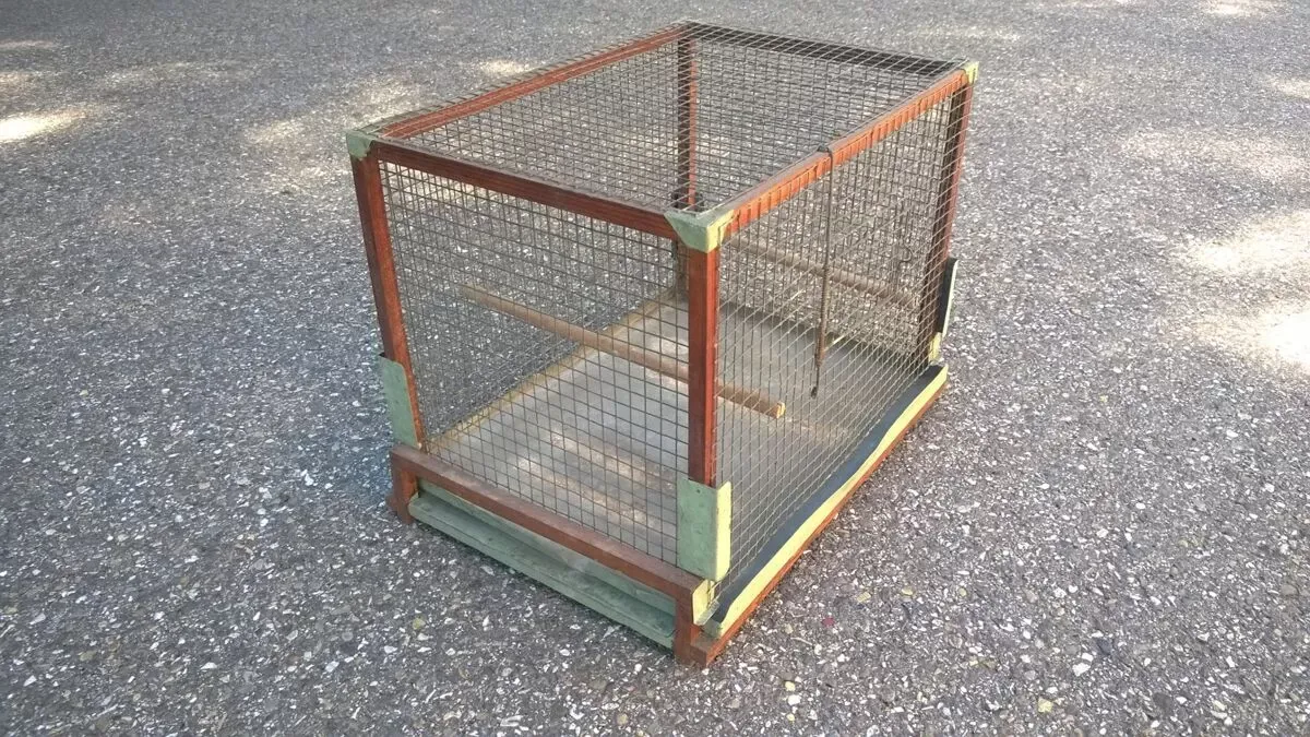 Illustration numéro 3 du produit Cage à oiseaux art populaire ancien