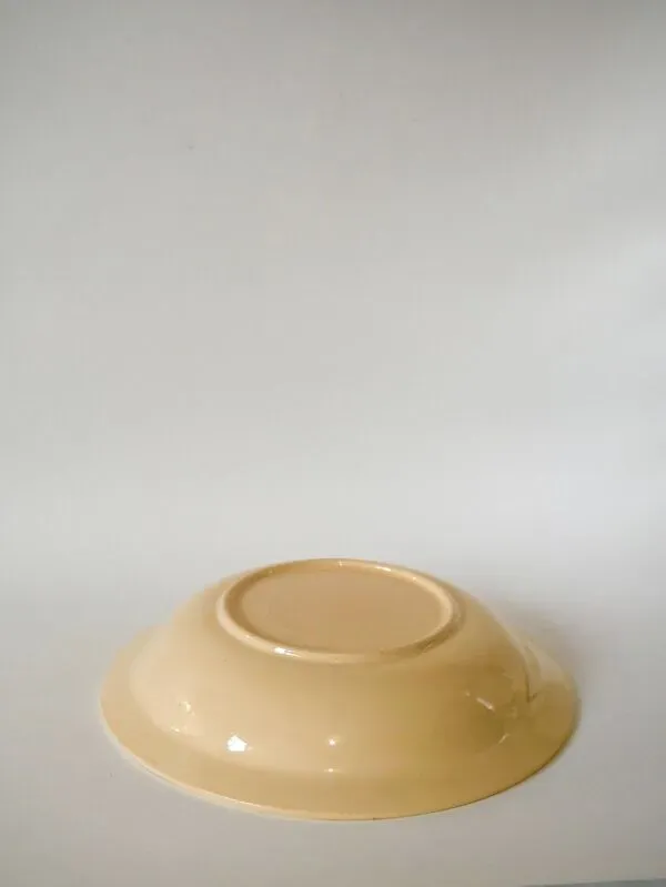 Illustration numéro 3 du produit grand plat creux fleuri Gien 1950