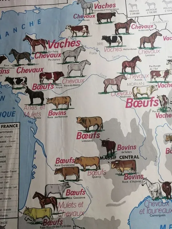 Illustration numéro 3 du produit Carte scolaire vintage mdi france rhône