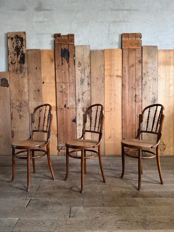 Illustration numéro 3 du produit Ensemble de salon bistrot en bois courbé fin XIXᵉ siècle début XX eme