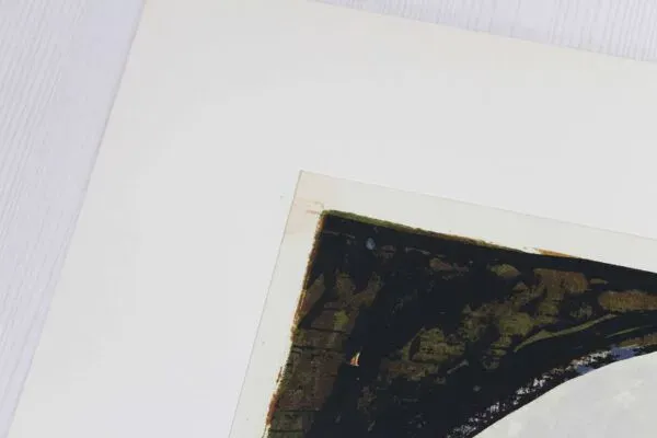 Illustration numéro 3 du produit Lithographie de rené myrha série ''l'aventura