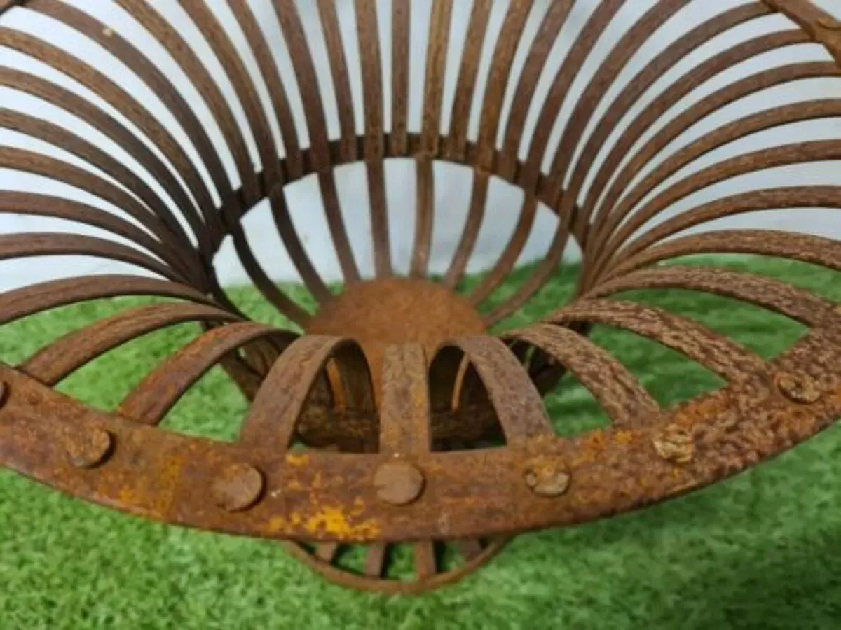 Illustration numéro 3 du produit Médicis en fer riveté