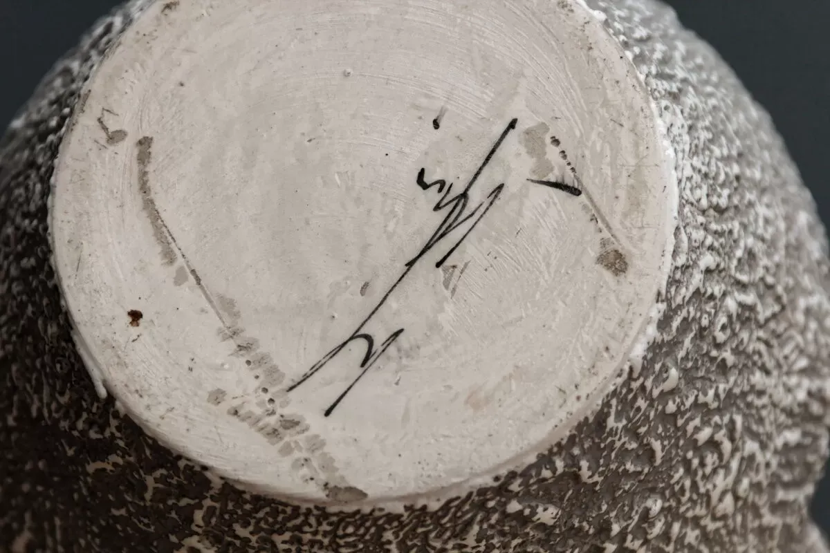 Illustration numéro 3 du produit Pichet fat lava signé