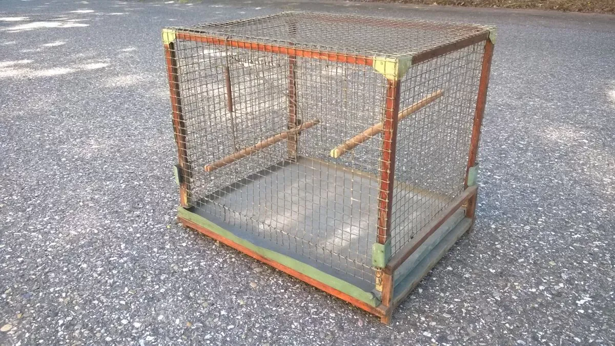 Illustration numéro 3 du produit Cage à oiseaux ancienne