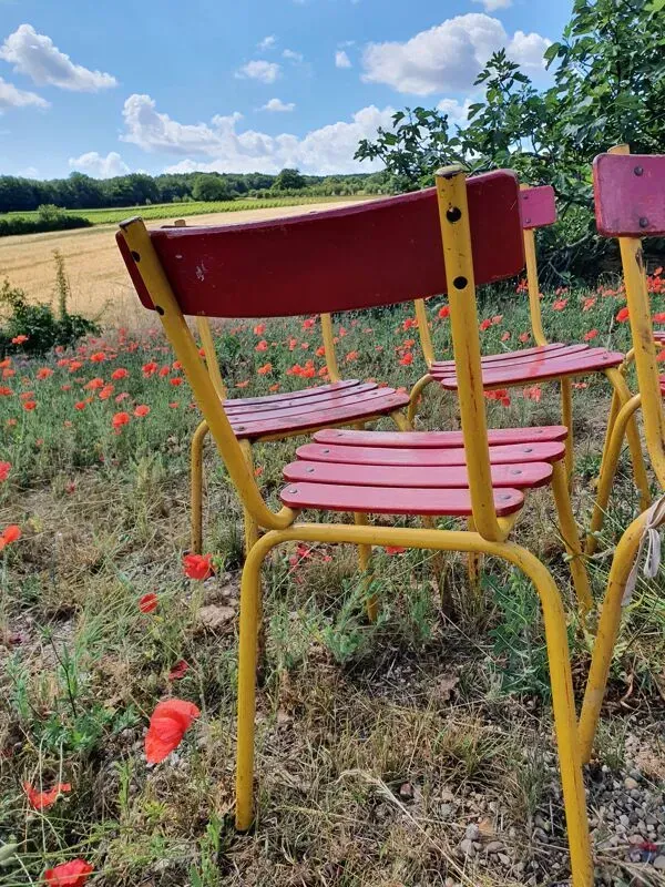 Illustration numéro 3 du produit Chaises