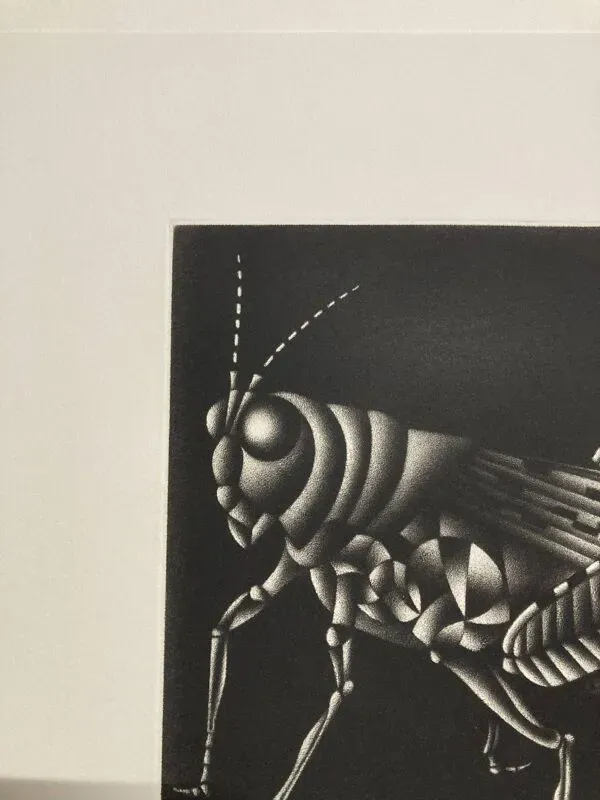 Illustration numéro 3 du produit Mario avati (1921-2009), criquet, manière noire, 1970