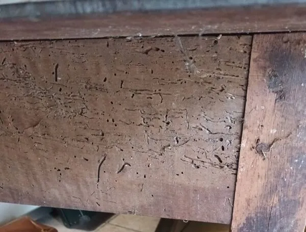 Illustration numéro 3 du produit Meuble de métier