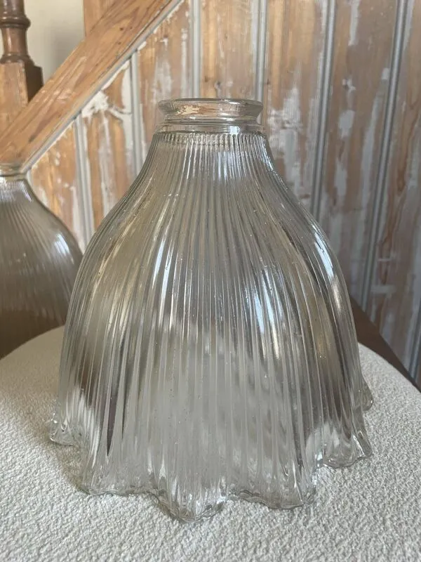 Illustration numéro 3 du produit Paire de globes tulipe holophanes