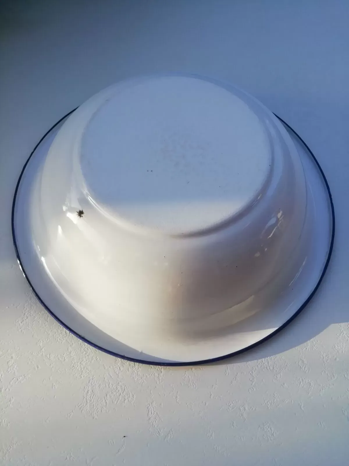 Illustration numéro 3 du produit Bassine en tôle émaillée