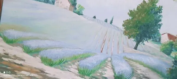 Illustration numéro 3 du produit Tableau français vintage, un champ de lavande