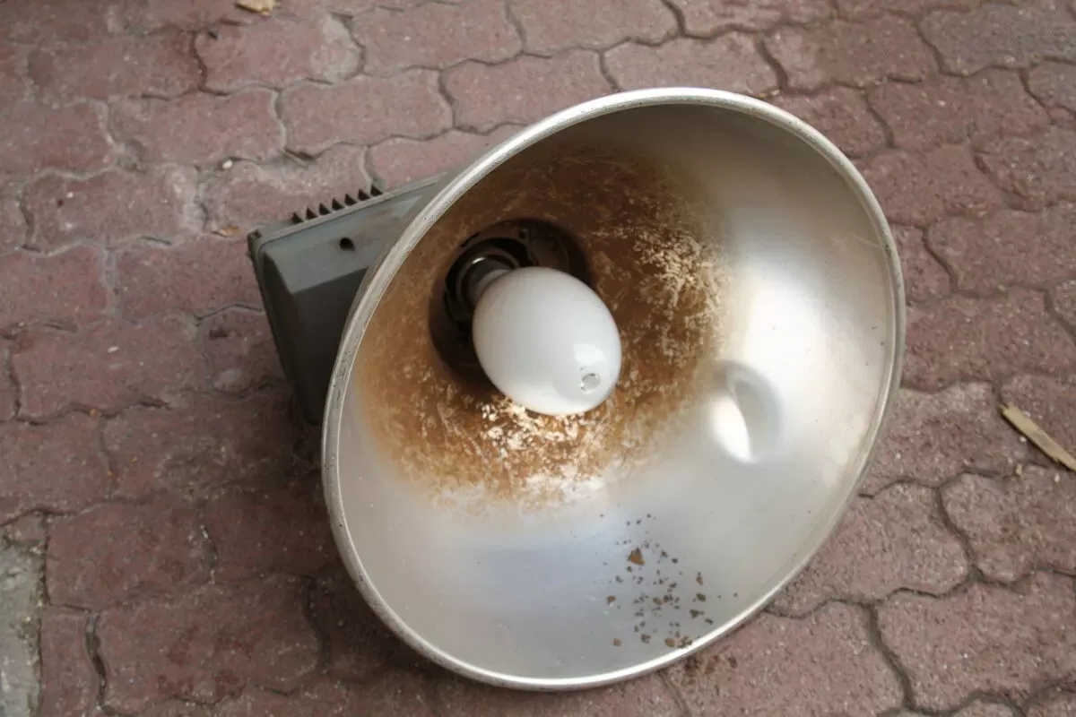 Illustration numéro 3 du produit Lampes industrielle