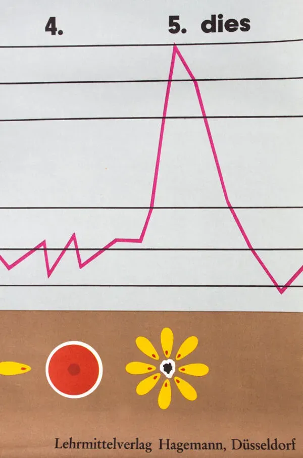 Illustration numéro 3 du produit Affiche murale de l’école de Jung-Koch-Quentell ''moustique'' 1972
