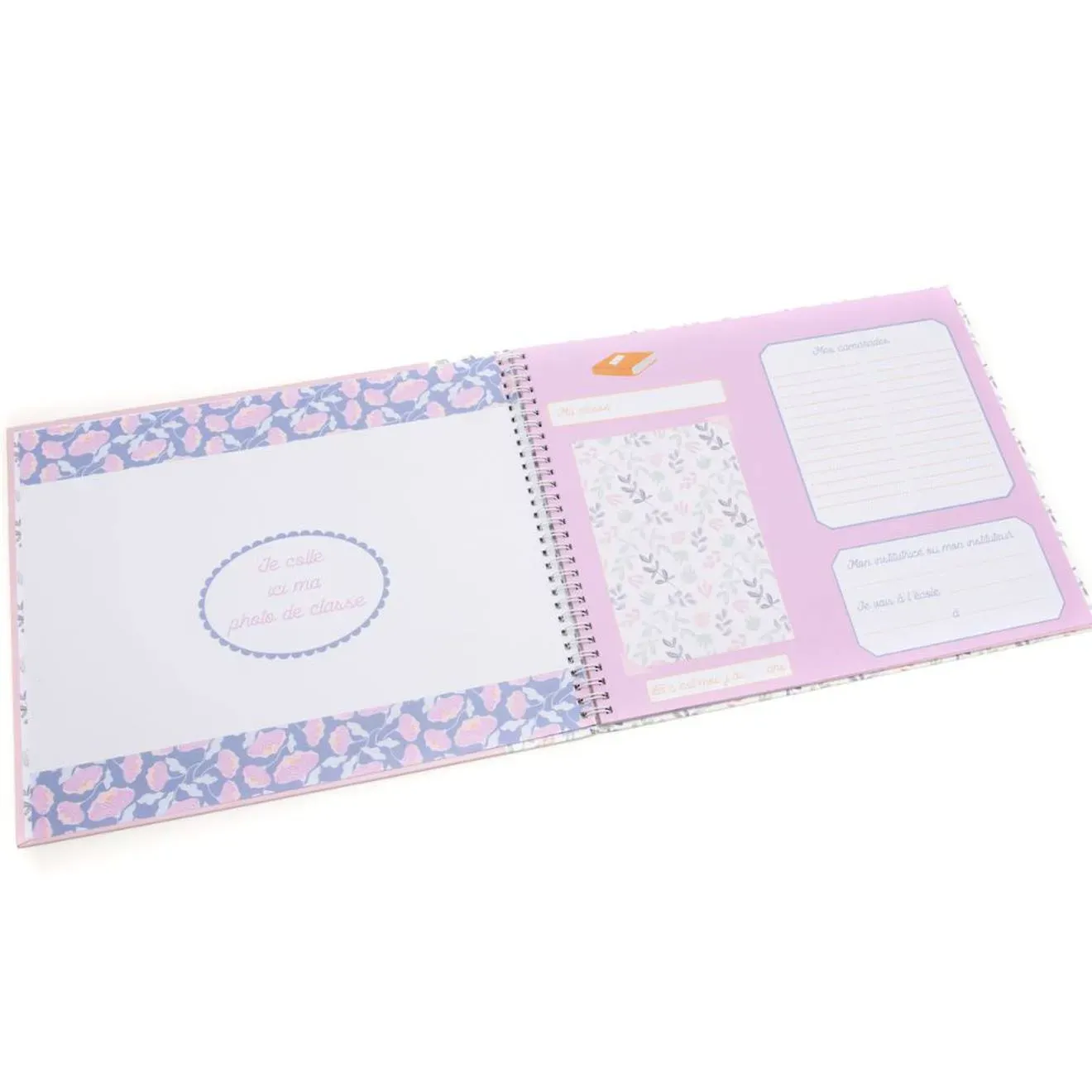 Illustration numéro 3 du produit Album De Classe Rose, Gris, Vert