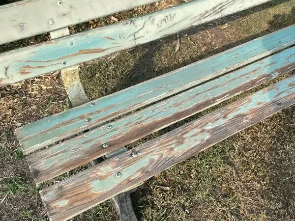 Illustration numéro 4 du produit Banc de jardin ancien