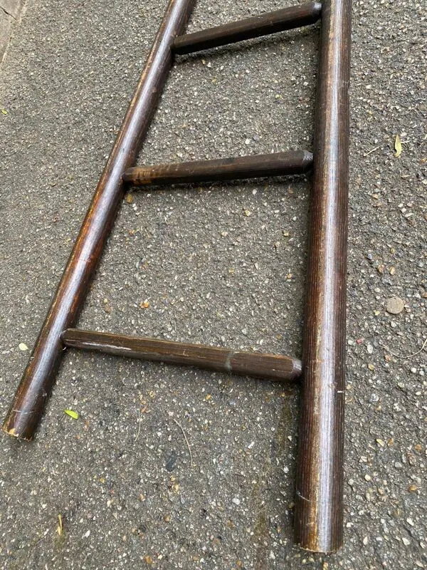 Illustration numéro 4 du produit Échelle en bois massif à 5 barreaux, XIXème siècle