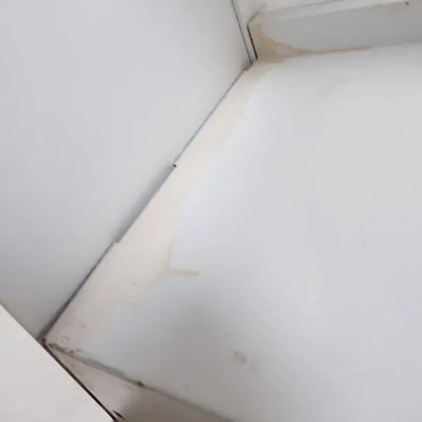 Illustration numéro 4 du produit Système d'étagères double ''Congresso'' Lips Vago 1960s - une paire disponible