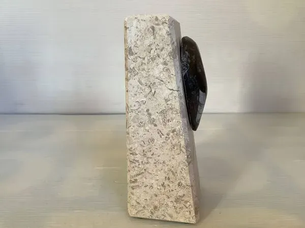 Illustration numéro 4 du produit Un serre livres en travertin et fossile asymétrique