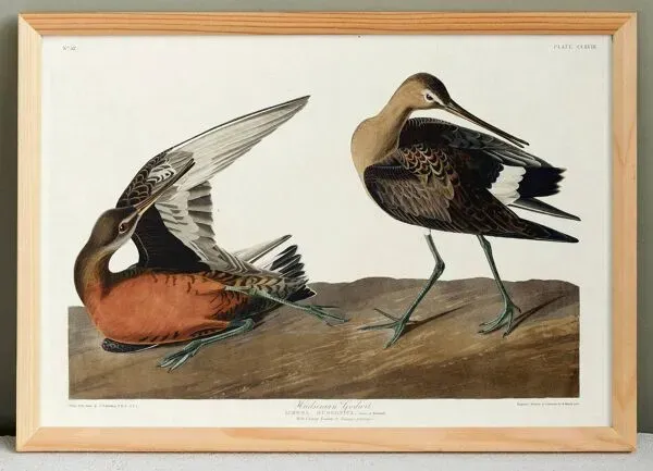 Illustration numéro 4 du produit Affiche sur la Barge hudsonienne, d’après une gravure ancienne de 1827.