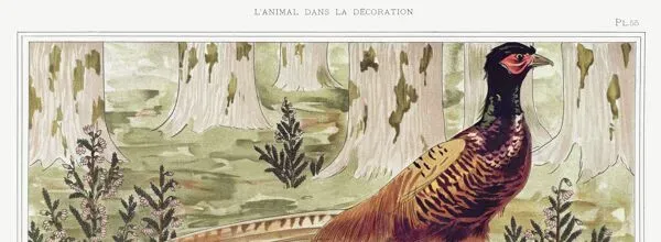 Illustration numéro 4 du produit Affiche “Faisans ordinaires”, d’après une lithographie art nouveau de 1897