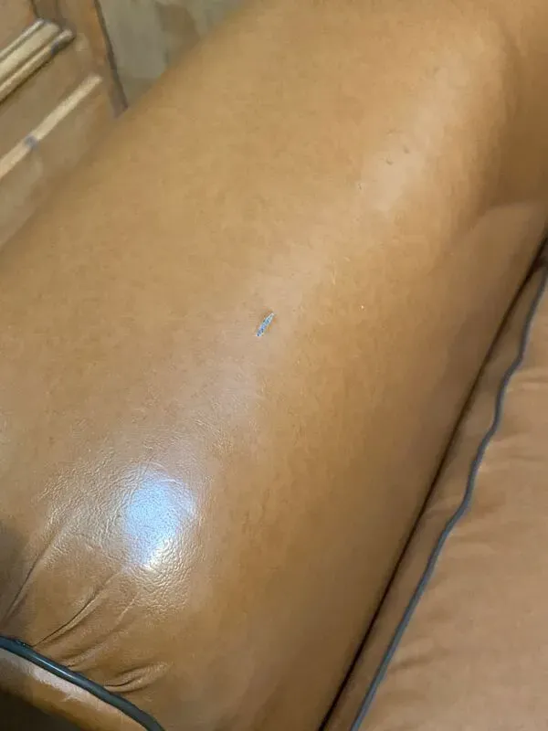 Illustration numéro 4 du produit Fauteuil club en skaï