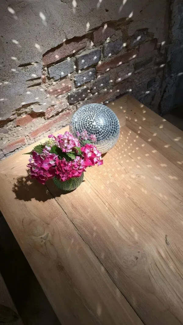 Illustration numéro 4 du produit Table basse en teck