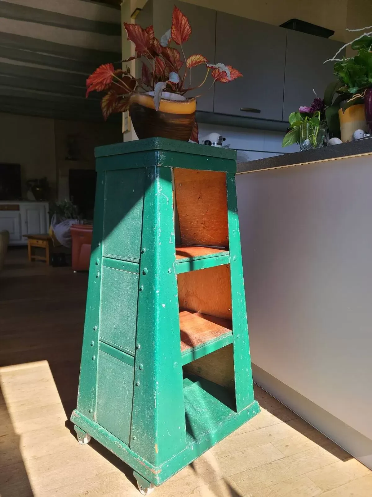 Illustration numéro 4 du produit Meuble de métier, bibliothèque indistrielle vintage vers 1950