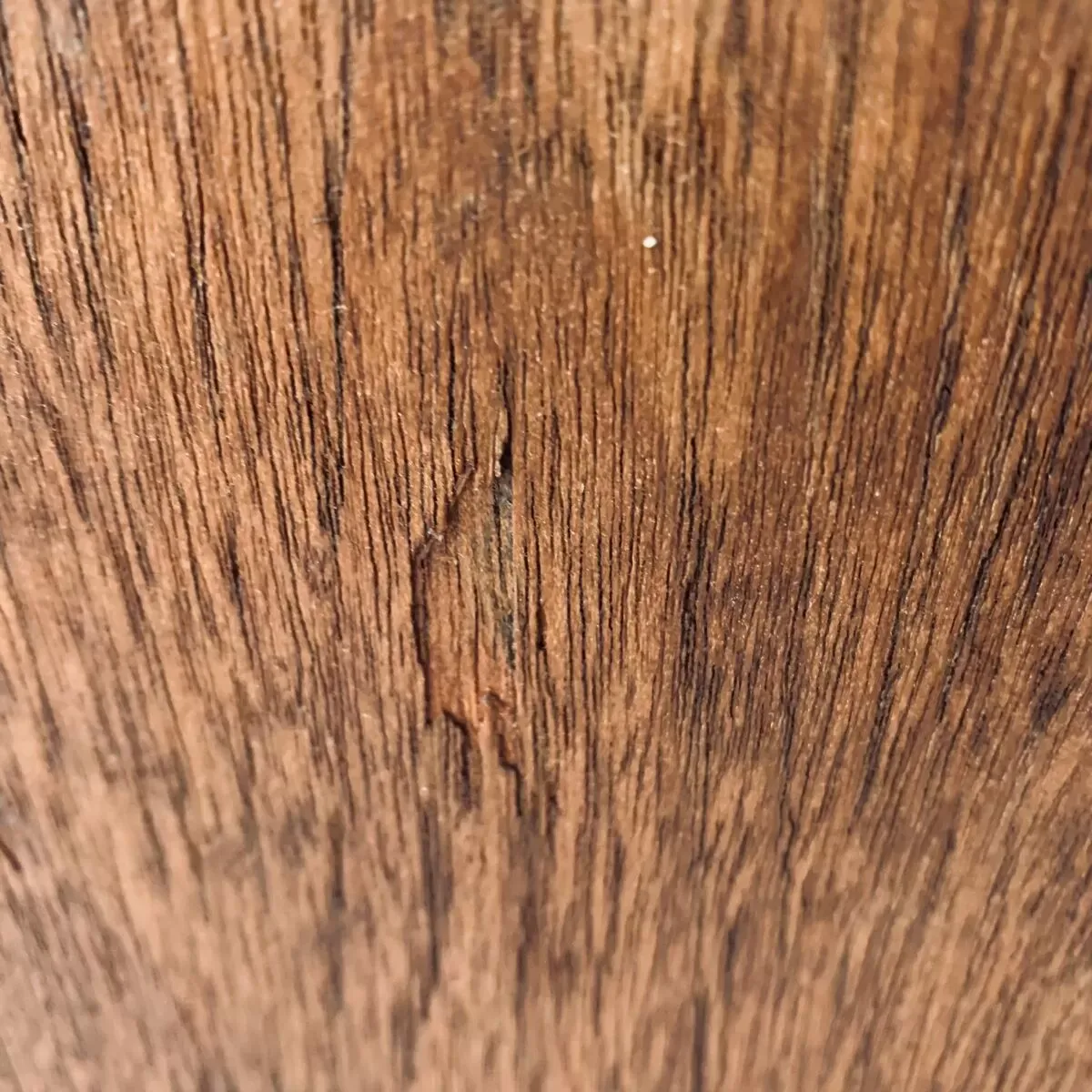 Illustration numéro 4 du produit Paire de chaises 3107 - bois & métal