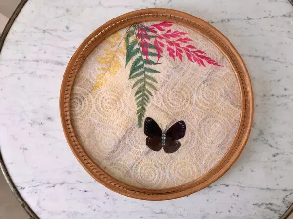 Illustration numéro 4 du produit plateau en rotin et papillon en taxydermie années 60-70