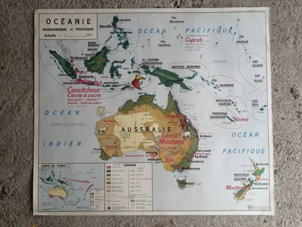 Illustration numéro 4 du produit Carte scolaire MDI : AMÉRIQUE DU SUD- OCÉANIE faune végétation.