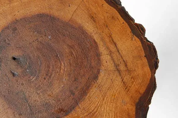 Illustration numéro 4 du produit Tabouret rustique en tronc d'arbre, France années 1940