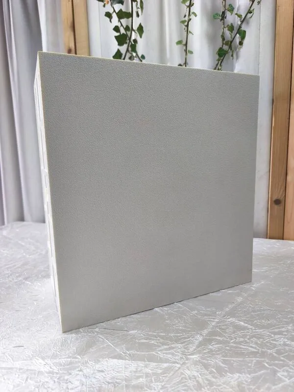 Illustration numéro 4 du produit Casier à vinyles DBGM