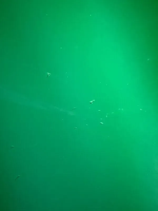 Illustration numéro 4 du produit 4 chaises Panton par Vitra